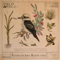 track-artwork
