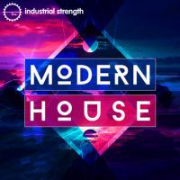 Modern House