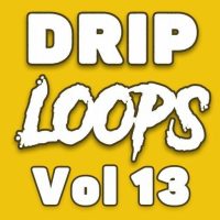 DiyMusicBiz Drip Loops Vol 13