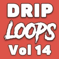 DiyMusicBiz Drip Loops Vol 14