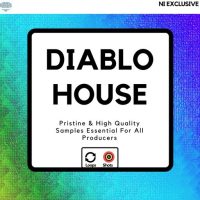 Diamond Sounds Diablo House