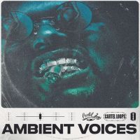 Ambient Voices