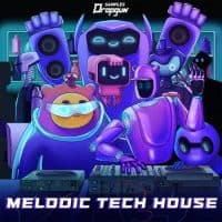 Melodic Tech House