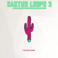 Cactus Loops 2