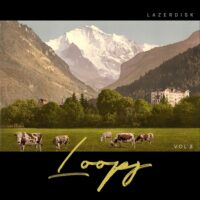 Lazerdisk Loops Vol 8