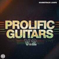 Prolific Guitars Volume 2