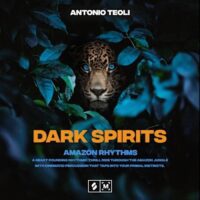 Dark Spirits Amazon Rhythms