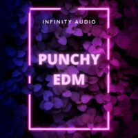 Punchy EDM