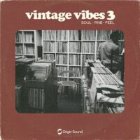 Vintage Vibes 3