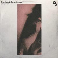 Trip-Hop and Downtempo