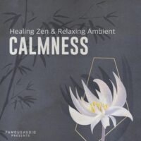 Calmness Healing Zen And Relaxing Ambient