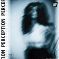 Mafio Perception