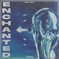 Enchanted Multi Kit