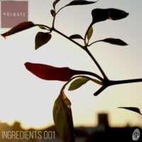 Ingredients 001 Primate