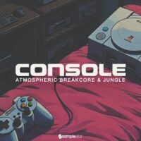 Atmospheric Breakcore And Jungle