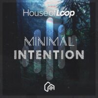 Minimal Intention