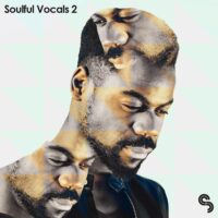 Soulful Vocals 2