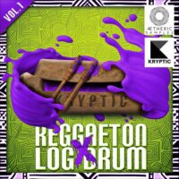 Reggaeton X Log Drum Vol 1
