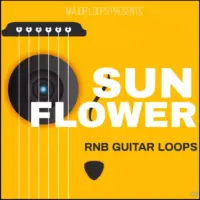 Major Loops Sunflower