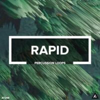 Audiotent Rapid