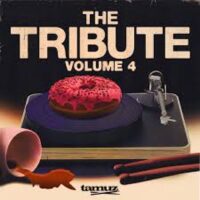 Tamuz The Tribute Vol.4