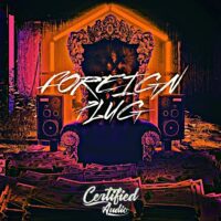Certified Audio Foreign Plug