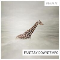 Concept Samples Fantasy Downtempo