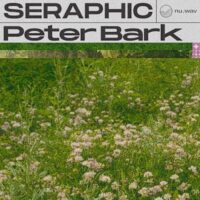 Peter Bark Seraphic