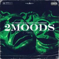 2Moods Emotional Stems