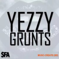 3 Digi Audio Yezzy Grunts