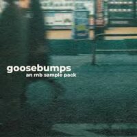Jazzfeezy Goosebumps  Rnb James Penley