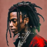 Carti Vol 4
