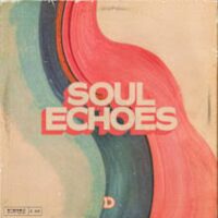 DopeBoyzMuzic Soul Echoes 1