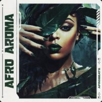 Jerry Martin Beats Afro Aroma