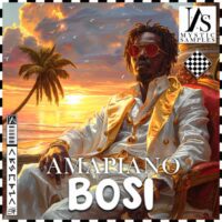 Mystic Samples Amapiano Bosi