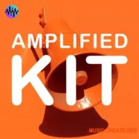 Noiiz Amplified Kit