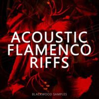 Acoustic Flamenco Riffs