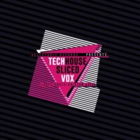 Sliced Tech House Vox