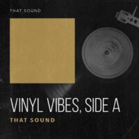 Vinyl Vibes Side A