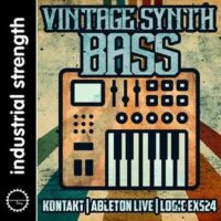 Vintage Synth Bass