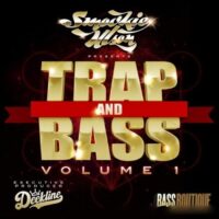 Bass Boutique Trap and Bass Volume 1