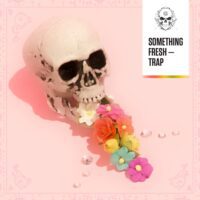 Something Fresh Trap