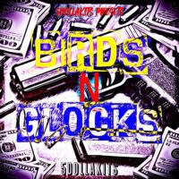Birds N Glocks