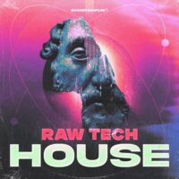 Raw Tech House