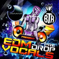 EDM Pre Drop Vocals