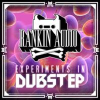 Experiments In Dubstep
