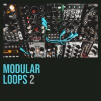 Shed Skin Records Modular Loops 2