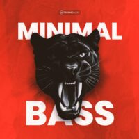 Minimal Bass Vol. 1