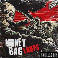 Money Bag Loops