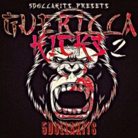 Guerilla Kicks 2